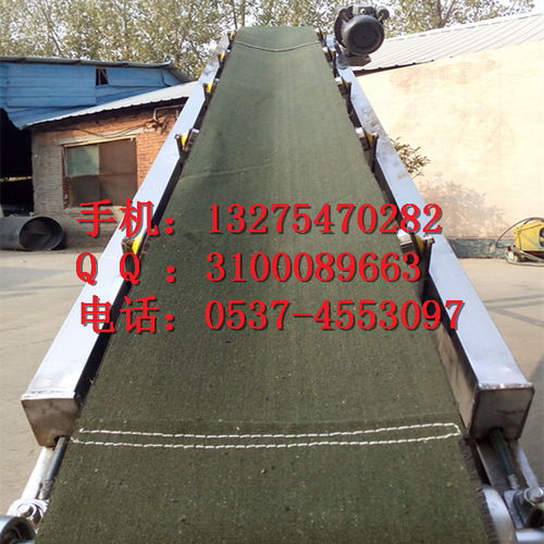 皮帶秤果蔬裝車輸送機 精準高效，賦能現代農業物流